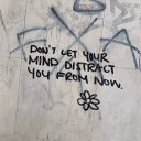 dinosaurhands avatar