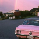 dinosaurr-ross avatar