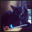 dinosaursandpotatoes avatar