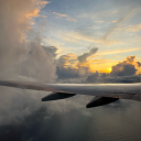 dinoserveseverytime avatar