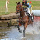 dinov-eventing avatar