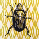 diogenesprintco avatar