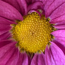 diogenestypist avatar