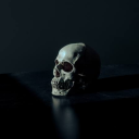 directproximal avatar