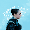 direwolfdaily avatar