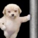 dirtiestdandy avatar