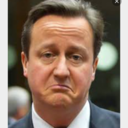 dirtyliberals avatar