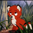 dirtylittleliar95 avatar