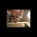 dirtypawpaw666 avatar