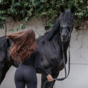 discovering-mpenzi avatar