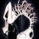 disordered-june avatar