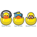 distractedducky avatar