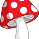 distressed-mushroom avatar