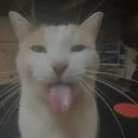 disturbed-fan avatar