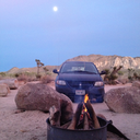 ditch-lily-diaries avatar