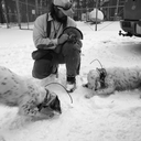 diverhunter498 avatar