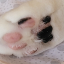 divinelygrown avatar