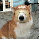 divinespecific avatar