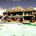 doctor-chopperina avatar