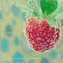 doctor-need-some-pie avatar