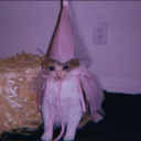 doctorintegerwizard avatar