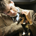 doctorwhoandkittens avatar