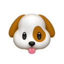 dogboybutch avatar