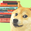 dogestudy avatar