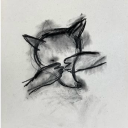 dogfishmonger avatar