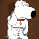 doggo-with-a-bloggo avatar