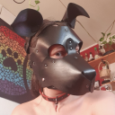 doggy-girl-chilli avatar