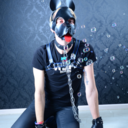 doggy-phil avatar