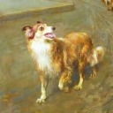 dogs-in-images avatar