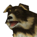 dogsingames avatar