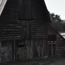 dogteethghoul avatar