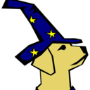 dogwizard avatar