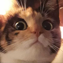 dointherecovery-blog avatar