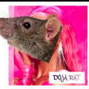 doja-rat avatar