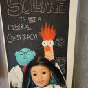 doll-collector-by-day avatar