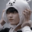 dolphincultleader avatar