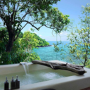 dolphinlife888 avatar