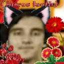 dome-pl-kpp-hsq avatar