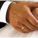 domesticating avatar