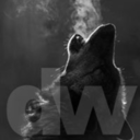 domesticwolf avatar