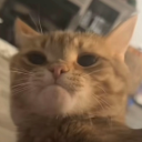 dominicanmermaid avatar