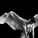 domlebasplace avatar