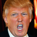 donaldtrumpforpresident avatar