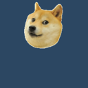 donedogeit avatar