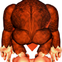 donkeykongsbongodong avatar