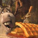 donkeys-waffles avatar